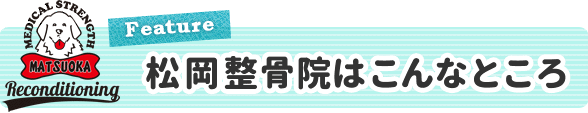 松岡整骨院はこんなところ